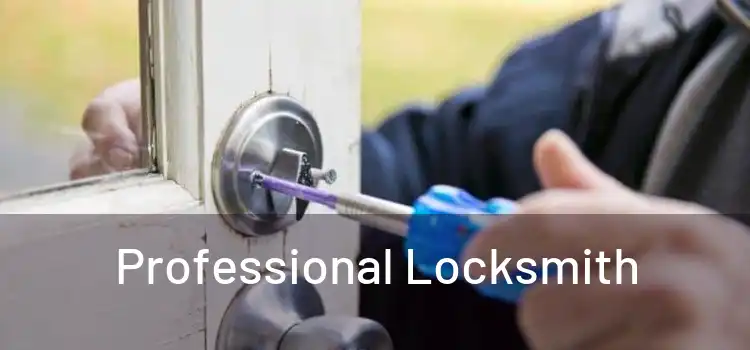  Professional Locksmith 